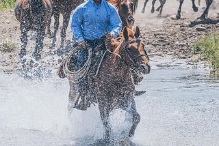 My Brother — The Cowboy