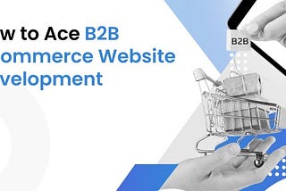 How to Ace B2B eCommerce Website Development