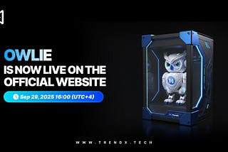 Owlie is Now Live on the Official Website!