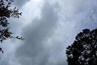 Houston’s Wettest Summer