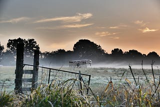 ​Transporting Horses with Respiratory Health in mind — Their Breathing Area.