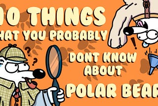 10 Things That You Probably Don’t Know About Polar Bears