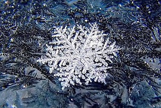 Tips for Outdoor Winter Photography