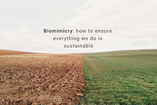 BIOMIMICRY: HOW TO ENSURE EVERYTHING WE DO IS SUSTAINABLE