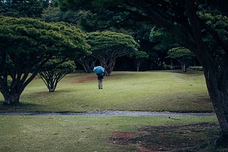 Rain trees As Protectors, Cleaners, Purifiers, and Life Givers