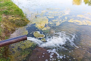 Your Data Lake is Polluted, Now What?