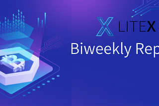 LITEX Biweekly Report (11.18–11.22)