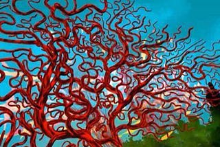 Red fan coral