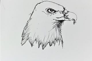 a sketch of an eagle head, done in ink