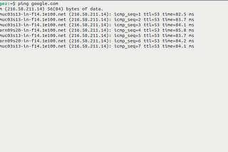 ping command | uzbek tilida