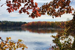 Photo of a lake in fall with colorful leaves framing view of water and colorful trees in distance.