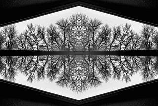 Image of bare branches from trees in winter. The image has two parts. Each one mirrors the other. The branches grow outward and divide so that the remind you of the bronchial tubes and smaller tubes inside the lungs.