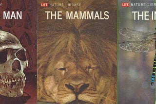 Three covers from the Nature Library series: Early Man (a skull); The Mammals (a lion’s face); The Insects (a dragonfly on a plant).