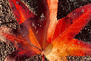 Turn Over An Old Leaf