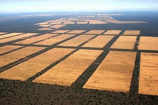 La deforestación en el Paraguay