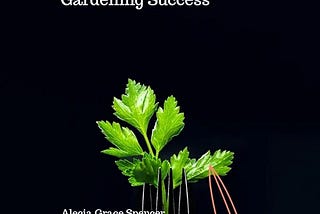 Green Thumbs Up: A Beginner’s Guide to Gardening Success