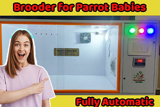 Raising Parrot Babies Made Easy with Our Brooder