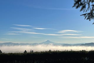 A view of Mt. Hood from Mt. Tabor, taken on today’s hike.