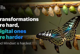 Why Transformations are hard, digital ones harder and Mindset is hardest?