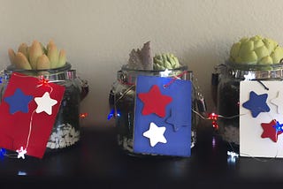 Star Spangled Hanging Succulent Planters