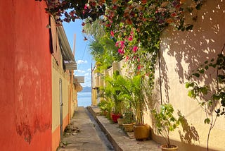 A photo of an alleyway with plants in Flores, and the lake in the distance.