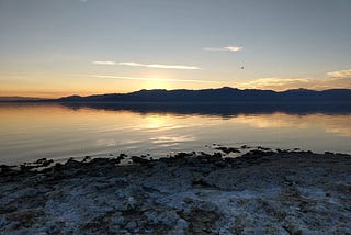 The Cowboy at the Salton Sea