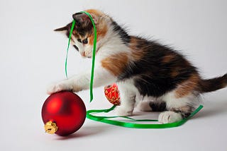 “A Christmas tree ornament took my cousin’s leg”