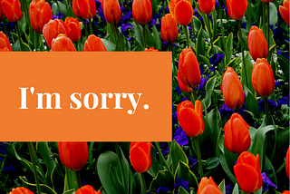 Send flowers to say sorry!