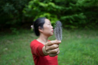 Feather & Fungi