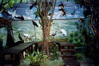 Observing Place ~Art, Culture, and Ways of Looking~