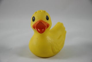 Don’t Underestimate a Live Rubber Duck