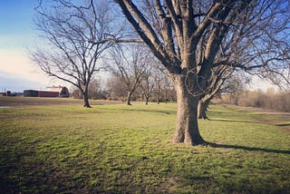 Voices of Mississippi