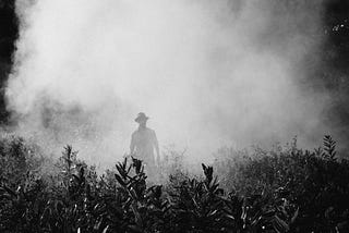 A man walks in the fog among high brush. Photo by Elijah Hail on Unsplash