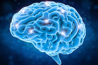 Neuroplasticity is Based on an Error