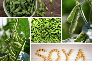 What are the health benefits of Soya Bean?