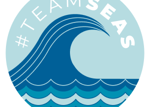 All You Need To Know About #TEAMSEAS