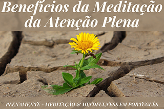 Benefícios da Meditação da Atenção Plena, por Shinzen Young