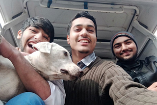 Leashing a Stray-Dog
