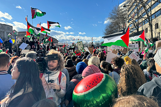 A Record-Breaking 400,000+ People Attend the March for Gaza in Washington, D.C.