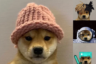 Dogwifhat: The Rising Star of the Solana Ecosystem Meme Coins