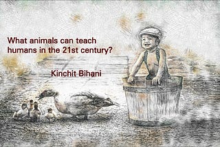 The question animals are asking humanity