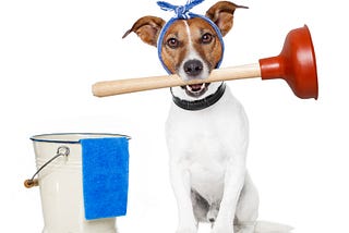 How Clean Kennels Affect Your Dog Care Business