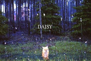 brand new’s ‘daisy’ is extremely good, actually