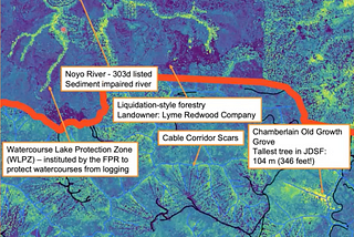 A dirty secret: The liquidation of redwood forests on publicly-owned lands in California
