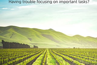 Having trouble focusing on important tasks?