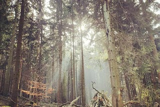 5 Steps to Transcend Emotional Identifications