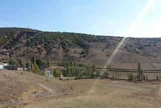 Yaş 43