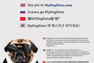 DOGDATA - OWN A DOG, SAVE MONEY AND IMPROVE YOUR DOG’S WELFARE