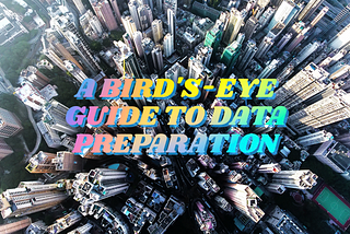 A Bird’s-eye Guide to Data Preparation