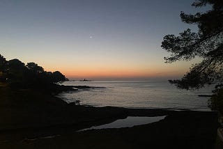 A fairly dark image of rocks on a beach, the sea and a tree silhouetted against the sky as the sun is just rising across the horizon in a pale orange band.